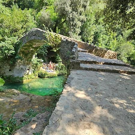 Villa Mazet Saint-Cézaire-sur-Siagne Esterno foto
